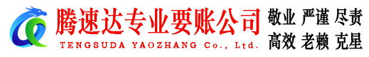 大丰要账公司